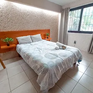 hostal-casa-mara-cancn.quintano-roohotels.com/